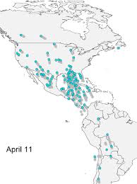 Bird Migration Map - Moves Based on Month - Cornell Lab | BoredomMD.com