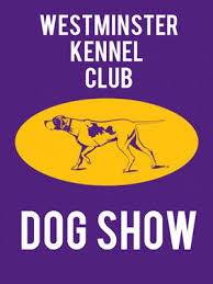 2018 Westminster Kennel Club Dog Show February 10 13 2018 Nyc Boredommd Com