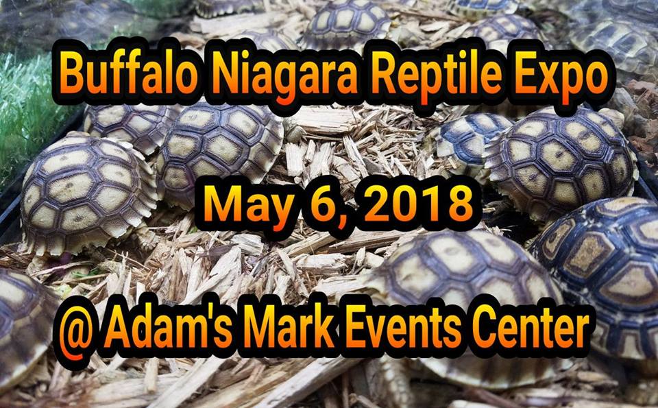 Buffalo Niagara Reptile Expo May 6, 2018 Buffalo, NY