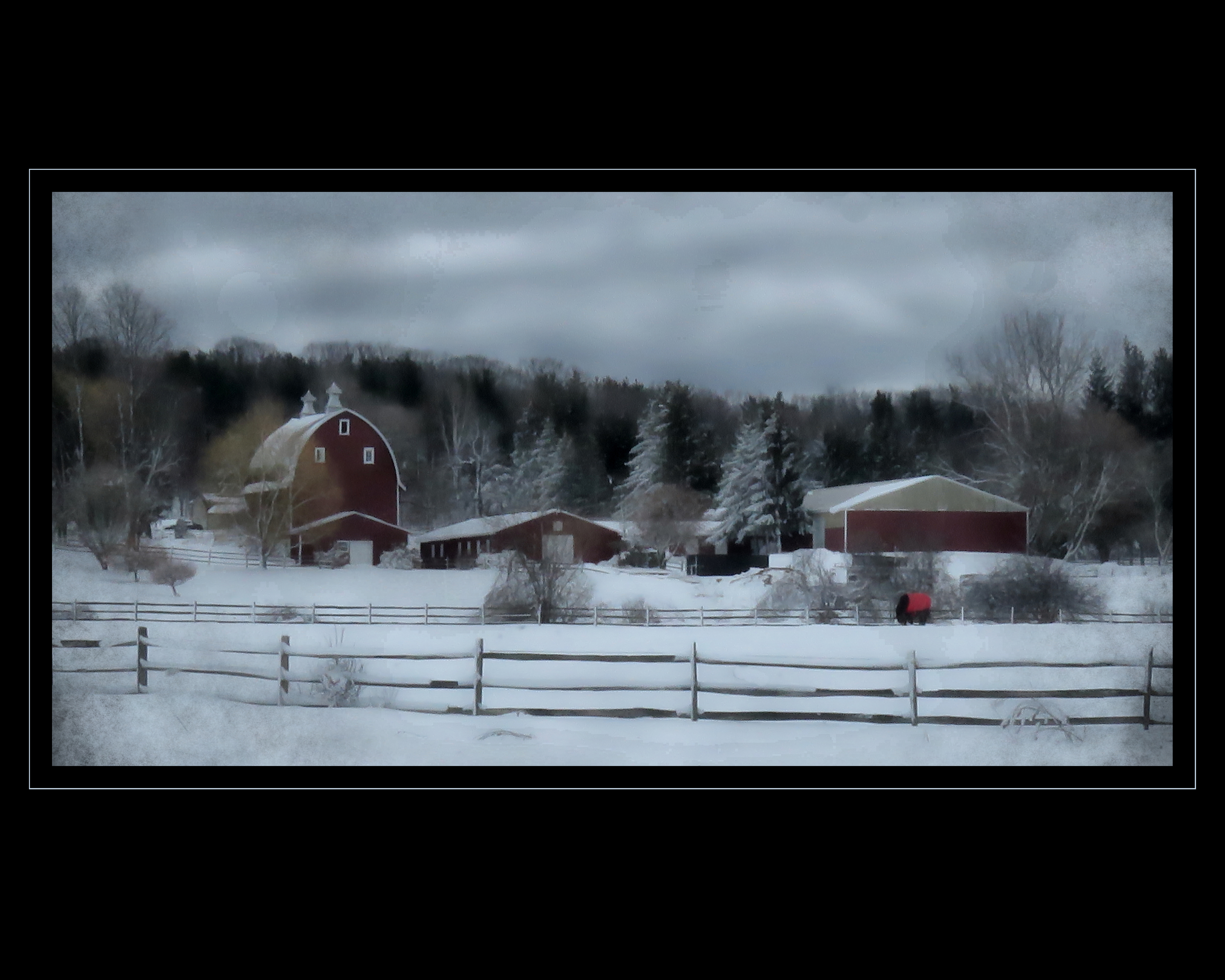 South Towns Camera Club Show And Sale At Buffalo Botanical Gardens