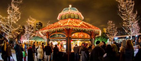 2019- Zoolights at Lincoln Park Zoo – December 31, 2019 to January 5, 2020- Chicago | BoredomMD.com