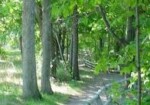 DeVeaux Woods State Park -Niagara Falls, NY