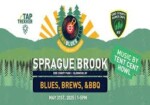 blues and brews at sprague brook park- may 31, 2025- glenwood, ny