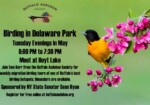 free birding at delaware park - may 27, 2025- buffalo, ny