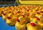 duck race at olcott beach harbor-june 8, 2025- olcott, ny