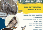 wny raptor and wildlife fundraiser at the cove- june 13, 2025- depew, ny